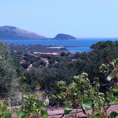 Maris Hébergement de vacances Olbia